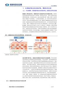 化妆品行业国内外功能性护肤品牌对比研究插图(2)